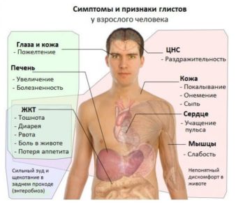 Иллюстрация 4