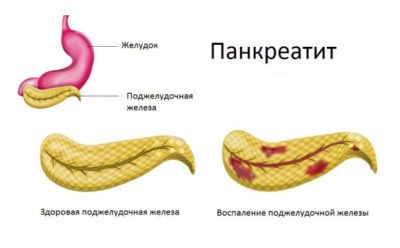 Иллюстрация 3