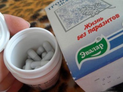Иллюстрация 4