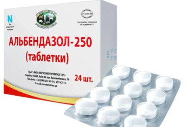 Картинка 3 Картинка 3